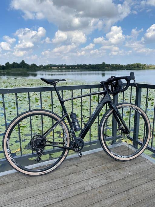 Ferienwohnung Sued - West Harz Mit Sauna E-Bikes Vorhanden! Horden am Harz Eksteriør billede