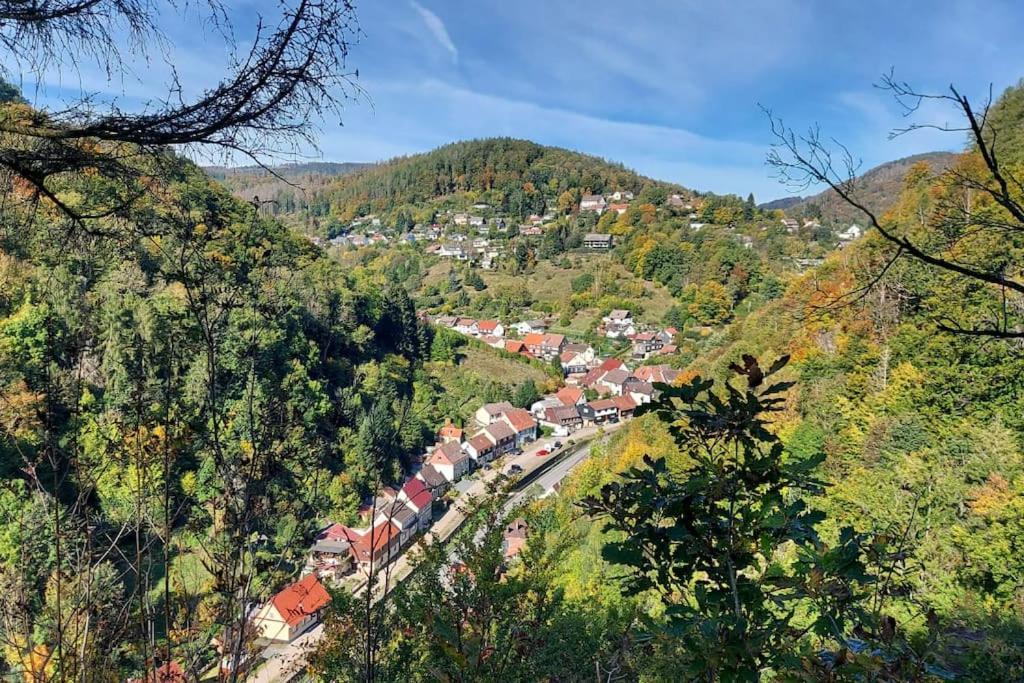 Ferienwohnung Sued - West Harz Mit Sauna E-Bikes Vorhanden! Horden am Harz Eksteriør billede